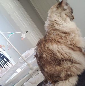 Meet your Posher, Nicholas